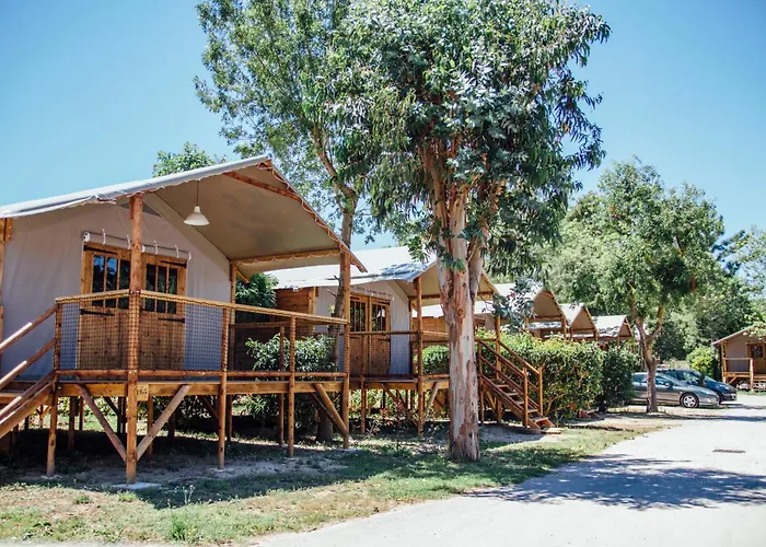 Sunelia Les Pins 营地 *